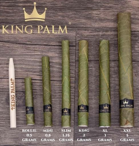 King Palm - 5 King Size Natural Rolls