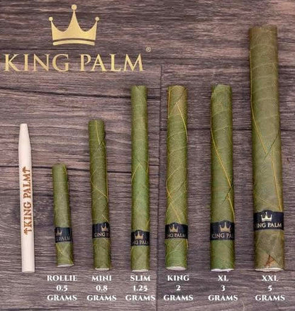 King Palm - 5 King Size Natural Rolls